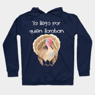 Camisa Chistosa en Espanol Funny Shirt in Spanish Hoodie